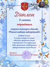 Диплом II степени. За 2-е место в смотре-конкурсе на лучшее новогоднее оформление зданий