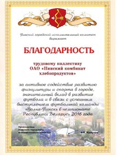  Благодарность. За активное содействие развитию физкультуры и спорта в городе.